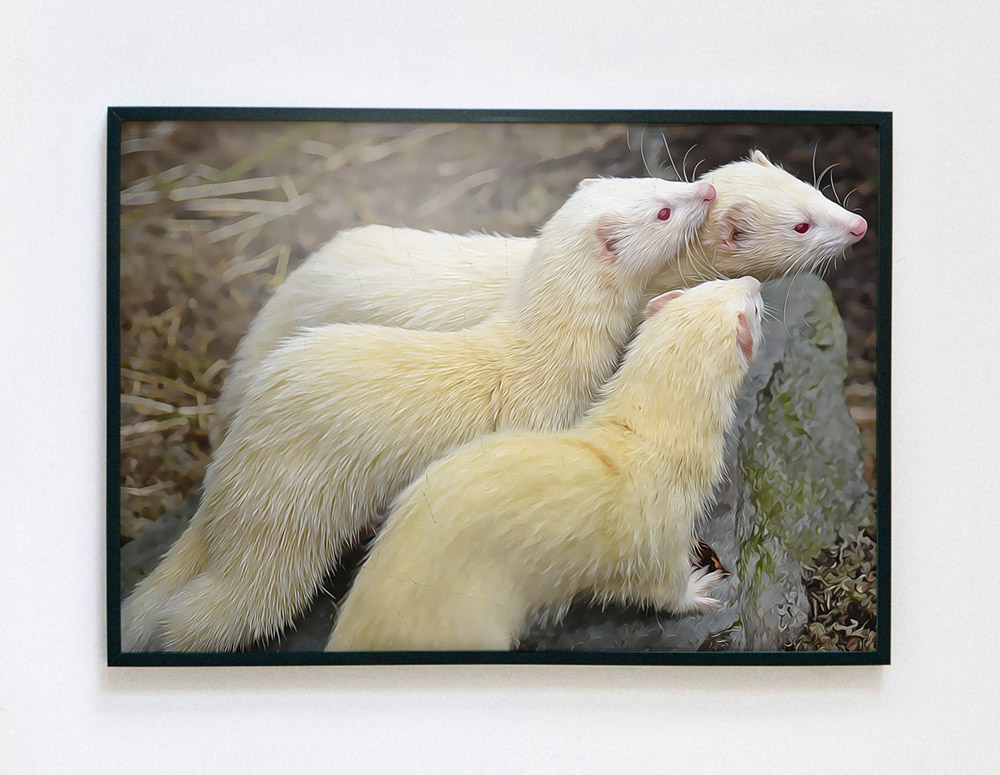 A painting of ferrets