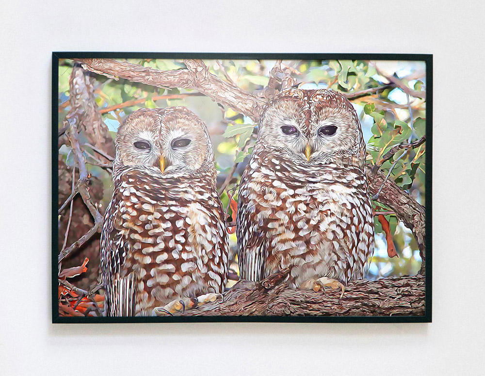 A painting of owls