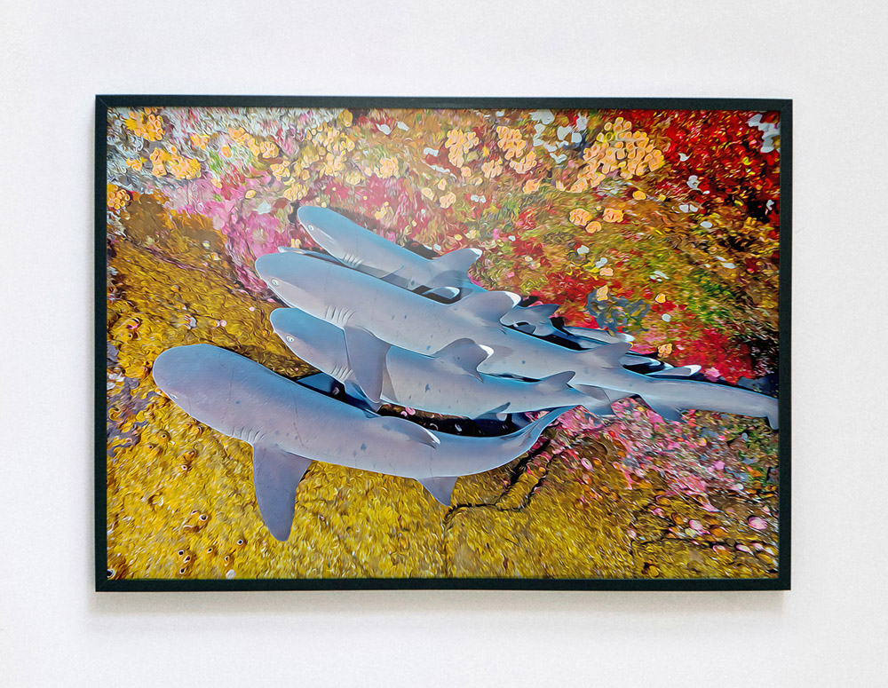 A painting of sharks